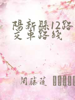 阳新县12路公交车路线