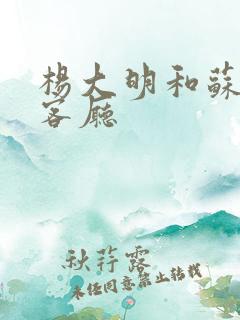杨大明和苏晴在客厅