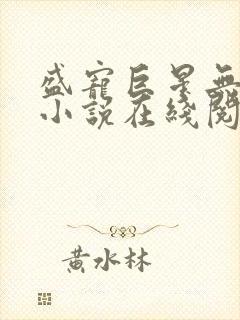 盛宠巨星无删减小说在线阅读
