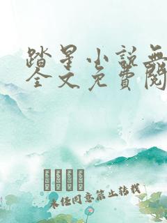 踏星小说无弹窗全文免费阅读