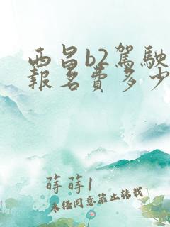 西昌b2驾驶证报名费多少钱