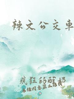 辣文公交车短篇