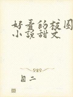 好看的校园言情小说甜文