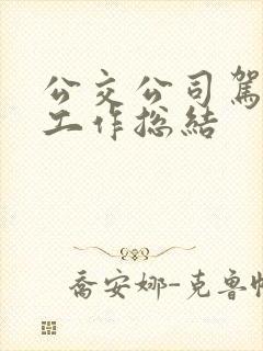 公交公司驾驶员工作总结 公交公司驾驶员工作总结