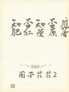 知否知否应是绿肥红瘦原著小说叫什么