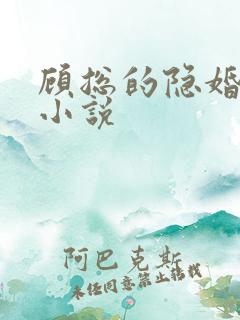 顾总的隐婚罪妻小说