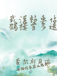 武汉动车站到黄鹤楼有多远