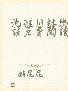 沈淮川林乐瑶小说免费阅读最新章节