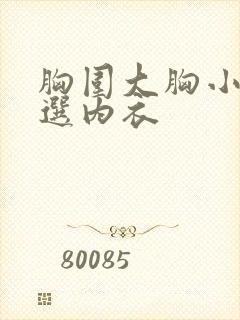 胸围大胸小怎么选内衣
