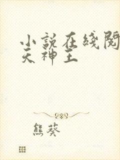 小说在线阅读霸天神王