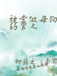 被当做母狗调教的男人