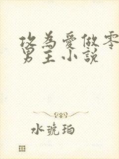 攻为爱做零的双男主小说