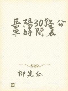 岳阳30路公交车时间表