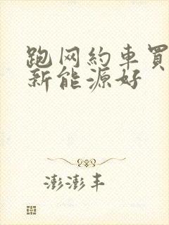 跑网约车买哪种新能源好