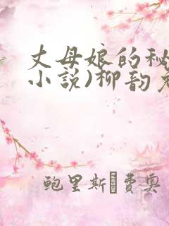 丈母娘的秘密(小说)柳韵免费阅读