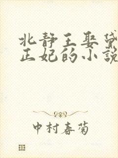 北静王娶黛玉为正妃的小说
