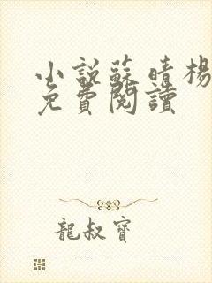 小说苏晴杨大明免费阅读