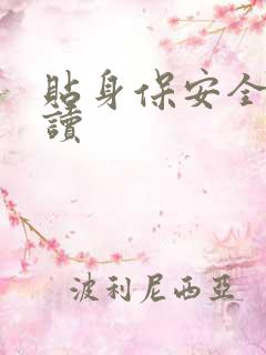 贴身保安全文阅读