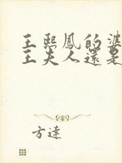王熙凤的婆婆是王夫人还是邢夫人