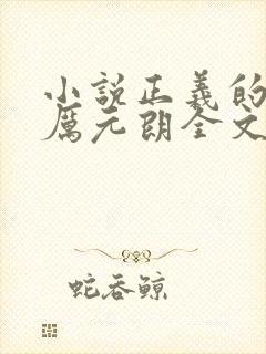 小说正义的使命厉元朗全文 小说正义的使命厉元朗全文