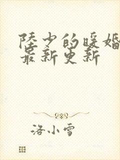 陆少的暖婚新妻最新更新
