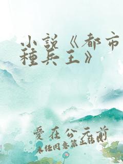 小说《都市之特种兵王》