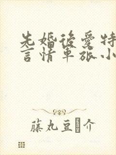 先婚后爱特种兵言情军旅小说