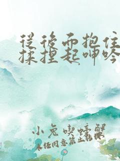 从后面抱住双乳揉捏起呻吟不断小说