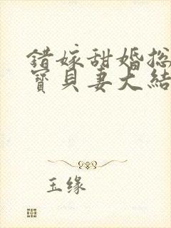 错嫁甜婚总裁的宝贝妻大结局