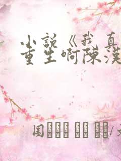 小说《我真没想重生啊陈汉升》 小说《我真没想重生啊陈汉升》