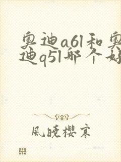 奥迪a6l和奥迪q5l哪个好