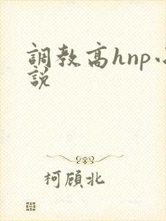 调教高hnp小说