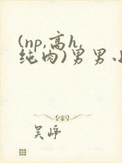 (np,高h,纯肉)男男小说