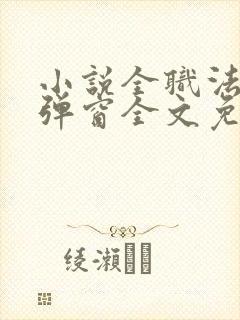 小说全职法师无弹窗全文免费阅读