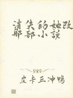 消失的她改编自哪部小说