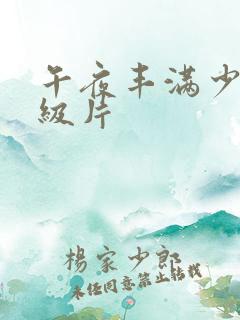 午夜丰满少妇一级片