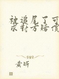 被追尾了可以要求对方赔偿误工费吗