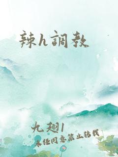 辣h调教