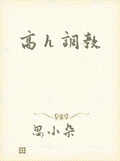 高 h 调教