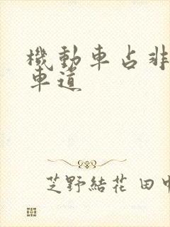 机动车占非机动车道 机动车占非机动车道