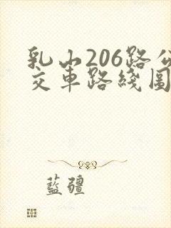 乳山206路公交车路线图