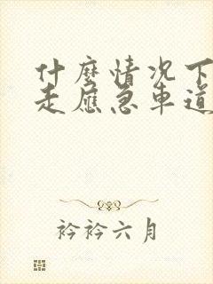 什么情况下可以走应急车道