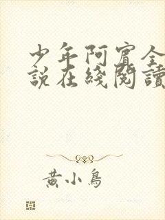 少年阿宾全文小说在线阅读