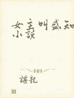 女主叫盛知夏的小说