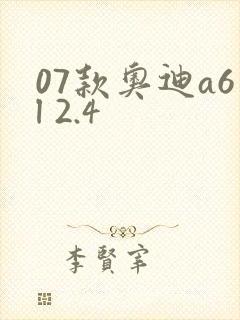07款奥迪a6l 2.4 07款奥迪a6l 2.4