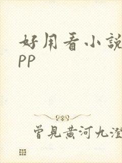 好用看小说的app