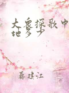 大众探歌中配落地多少
