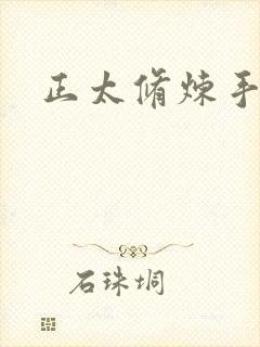 正太修炼手册