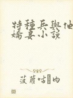特种兵与他的小娇妻小说