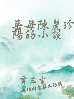 岳母陈丽珍和宋阳的小说